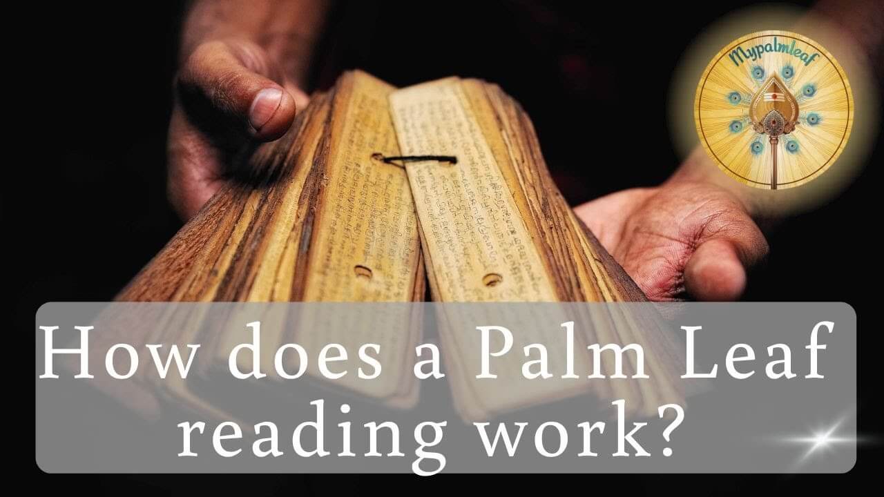 Author Video Thumbnail