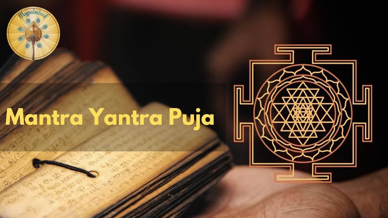 Author Video Thumbnail