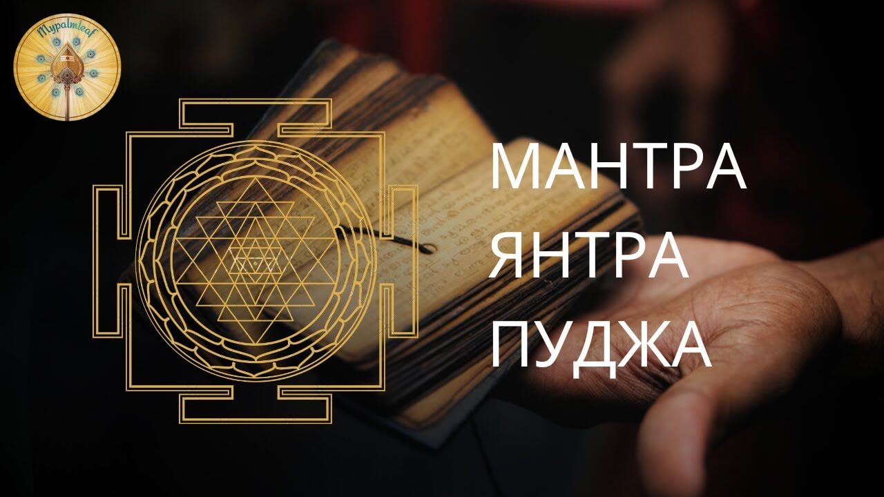 Author Video Thumbnail