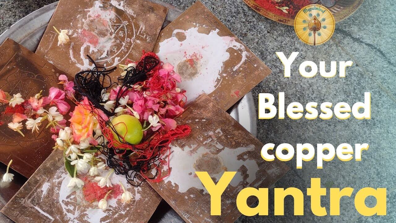 Author Video Thumbnail